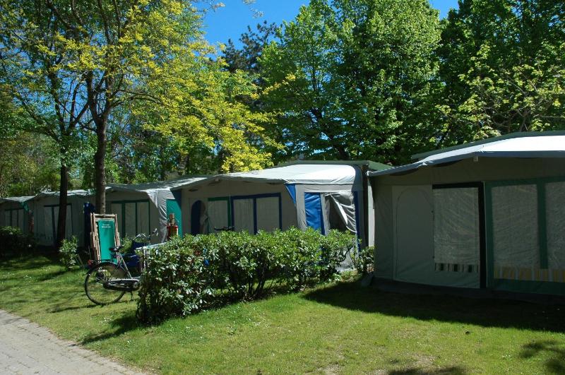 Mobile Home Basic image 3