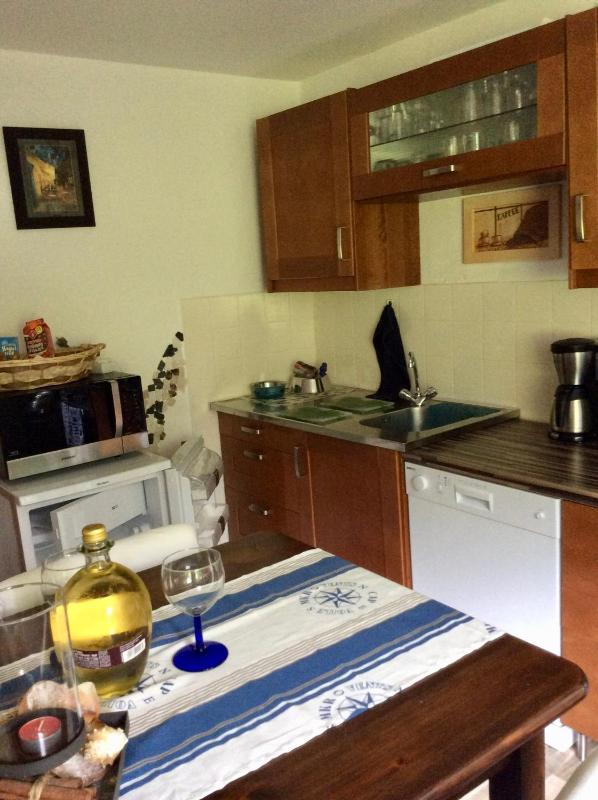 One-Bedroom Apartment image 2