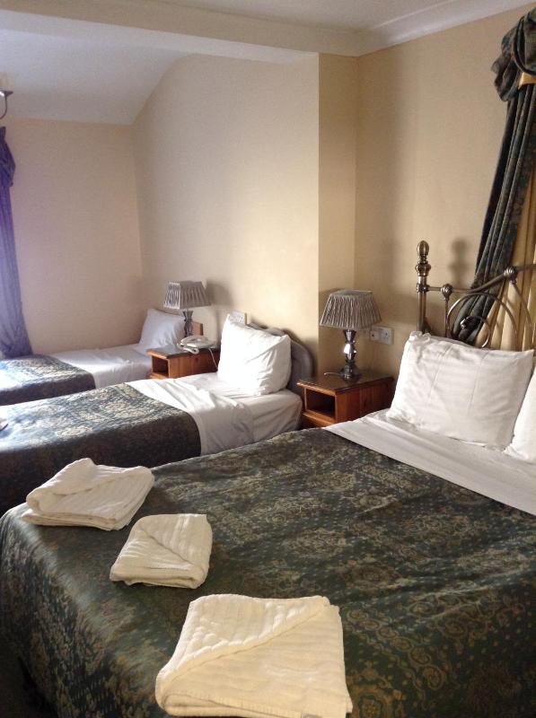 Family Room image 4