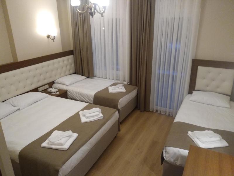 Ribad Hotel Sultanahmet - image 5