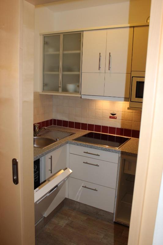 One-Bedroom Apartment image 4