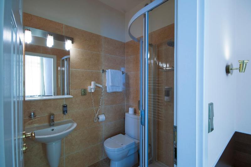 Comfort Single Room image 4