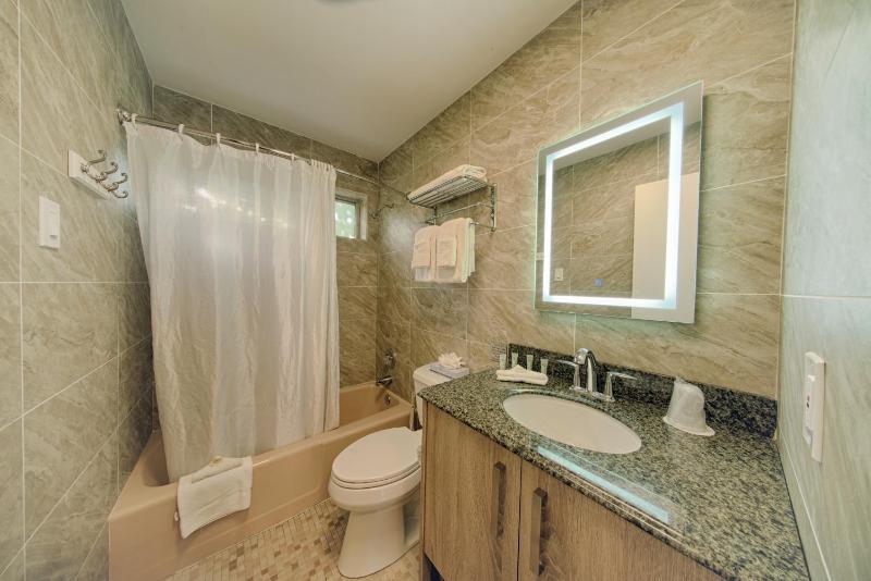 One-Bedroom Apartment image 4
