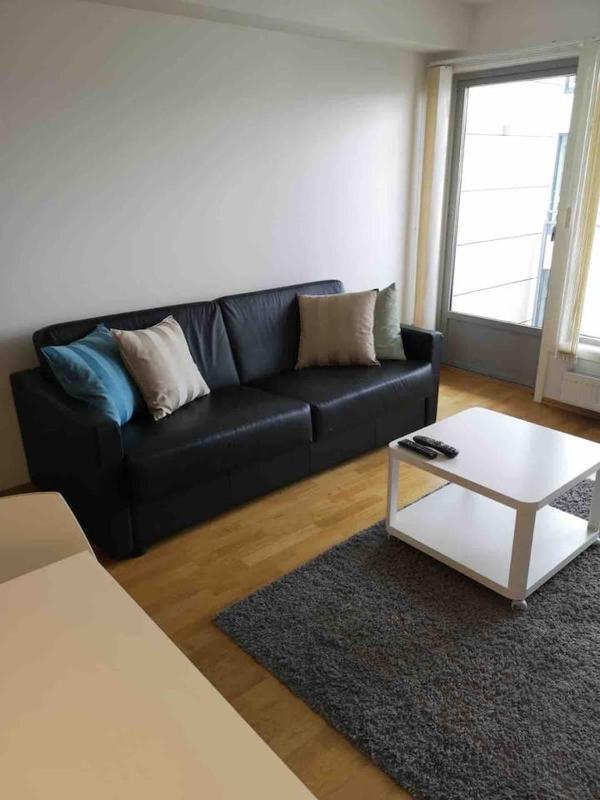 CITY CENTER OSLO BLACK AND WHITE APARTMENT - image 13