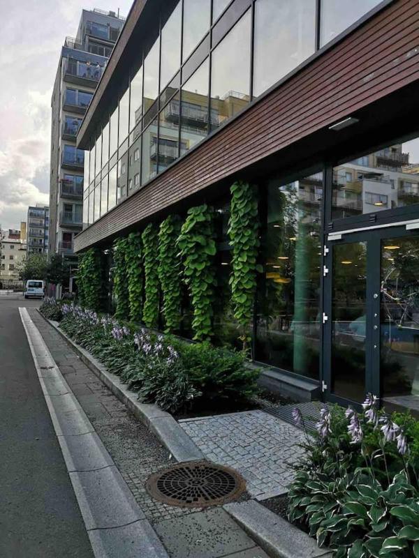 Two-Bedroom Apartment image 2