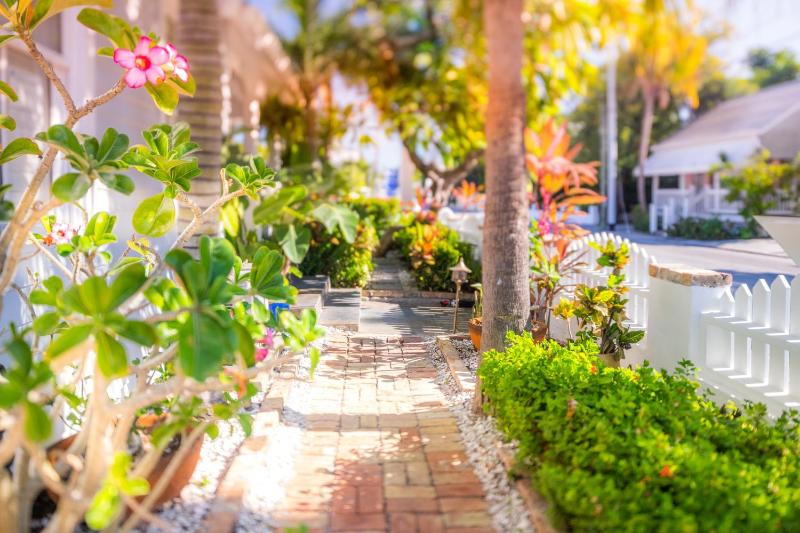 Duval Inn - Key West - image 25