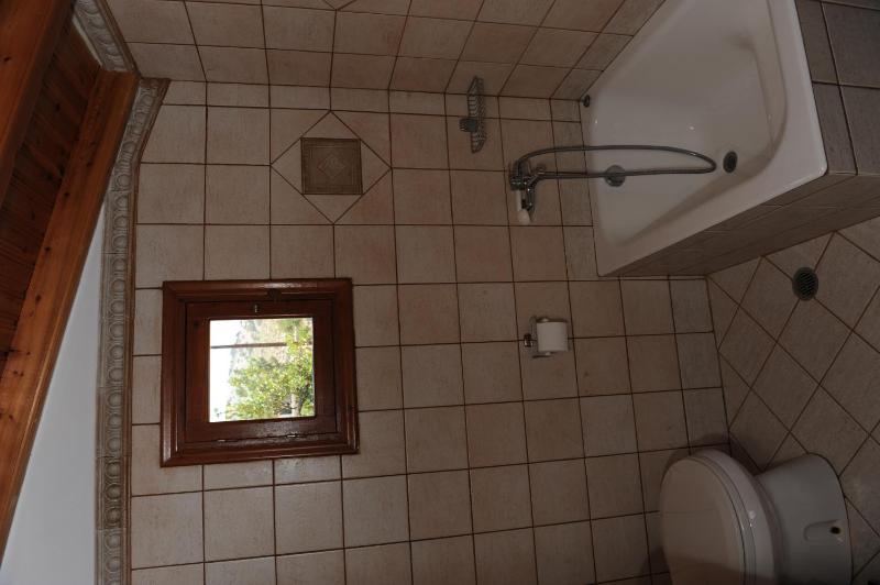One-Bedroom Apartment image 4
