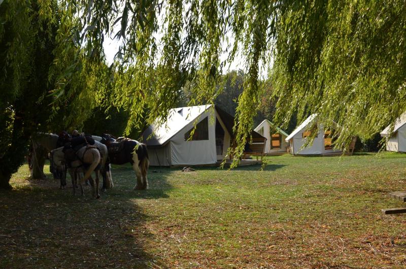 Tent image 3