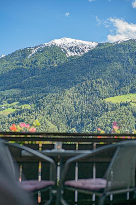 One-Bedroom Apartment with Mountain View image 4