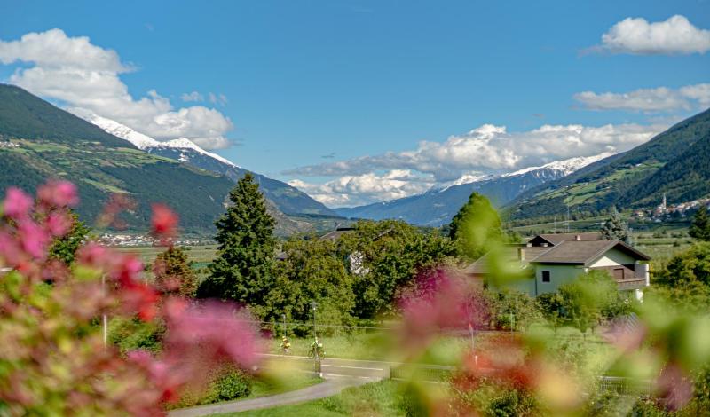 One-Bedroom Apartment with Mountain View image 3