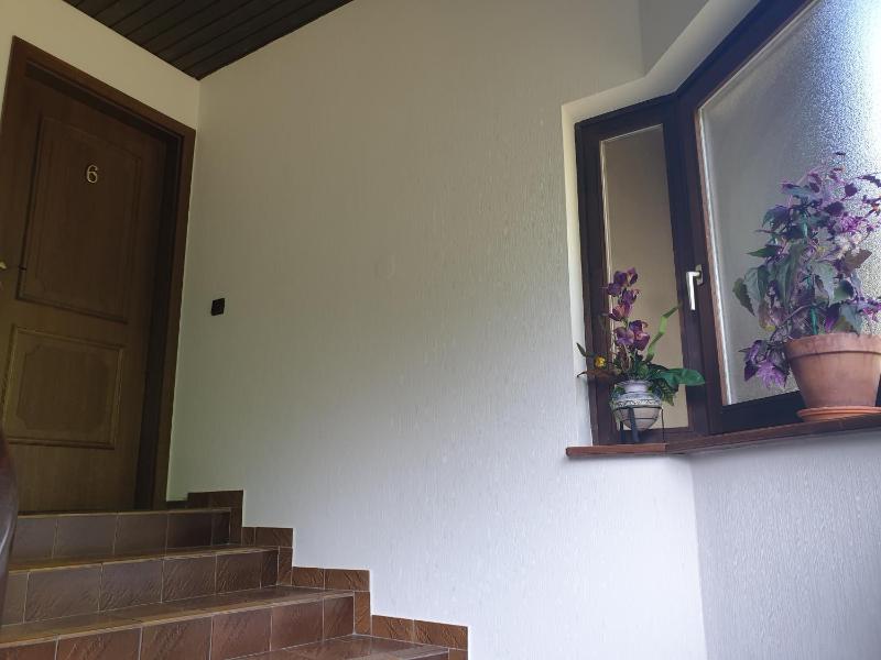 One-Bedroom Apartment image 2