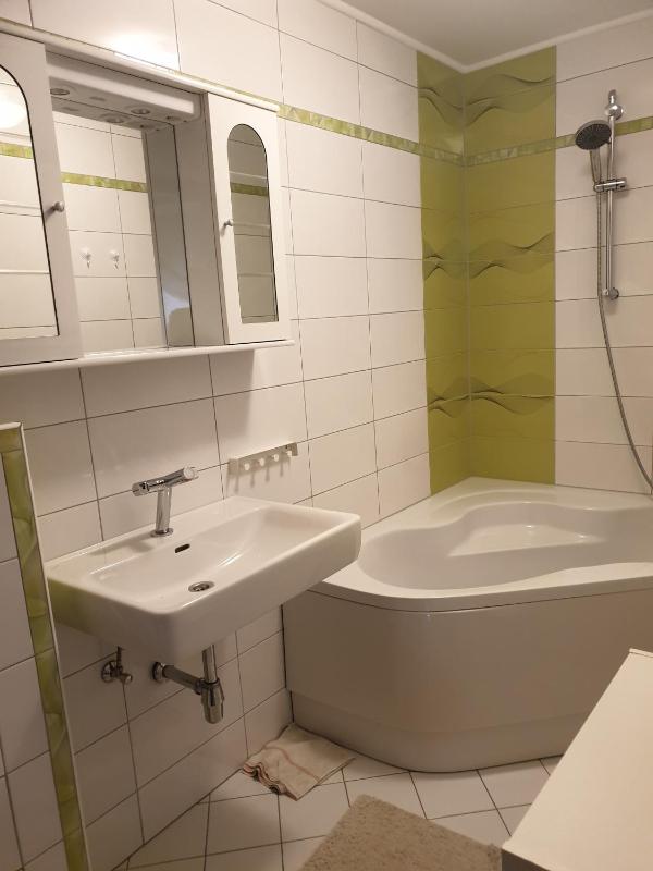 One-Bedroom Apartment image 4
