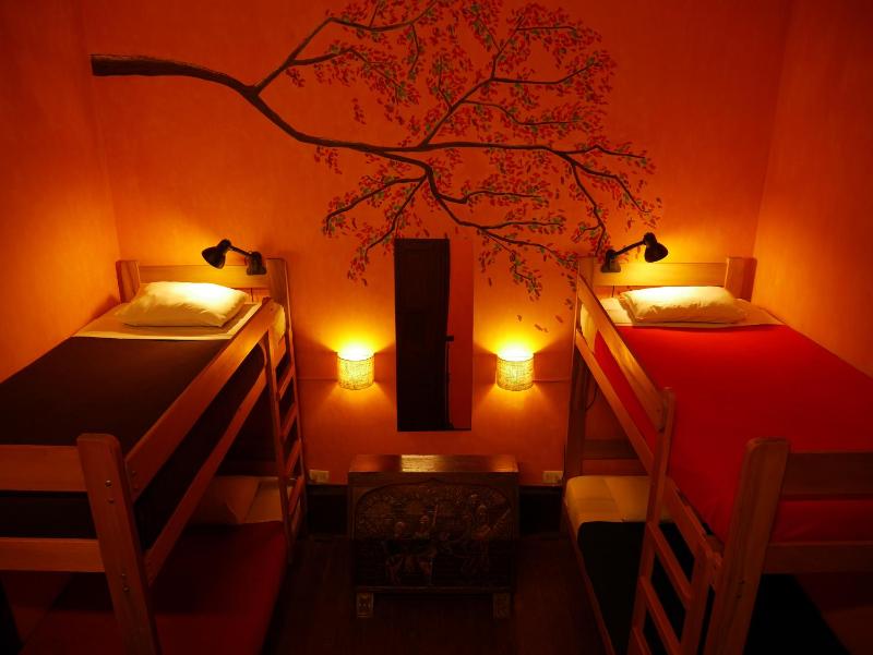 KACLLA Urban Lodge - The Healing Dog Experience - image 6