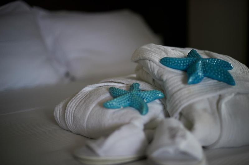 Classic Double or Twin Room with Spa Access image 3
