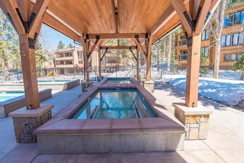 Columbine North Star Condo: Close To Everything - image 30