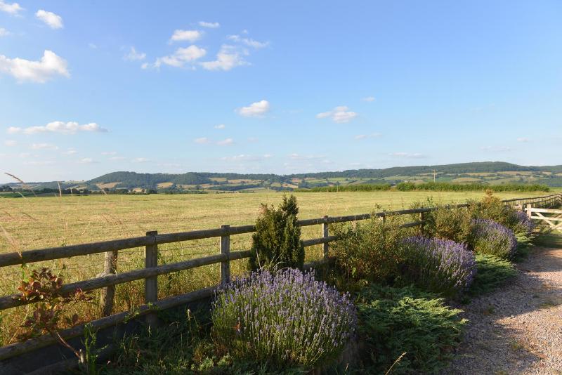Holiday Home image 3