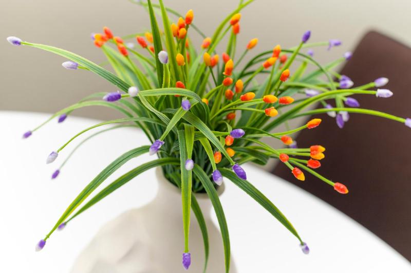 Duplex Apartment with Sea View image 4