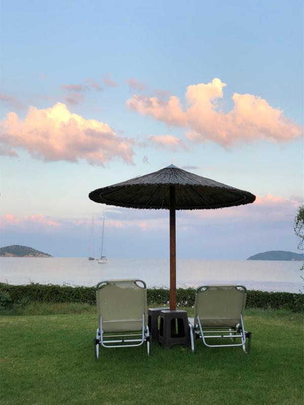 Angeliki Beach Hotel - image 17