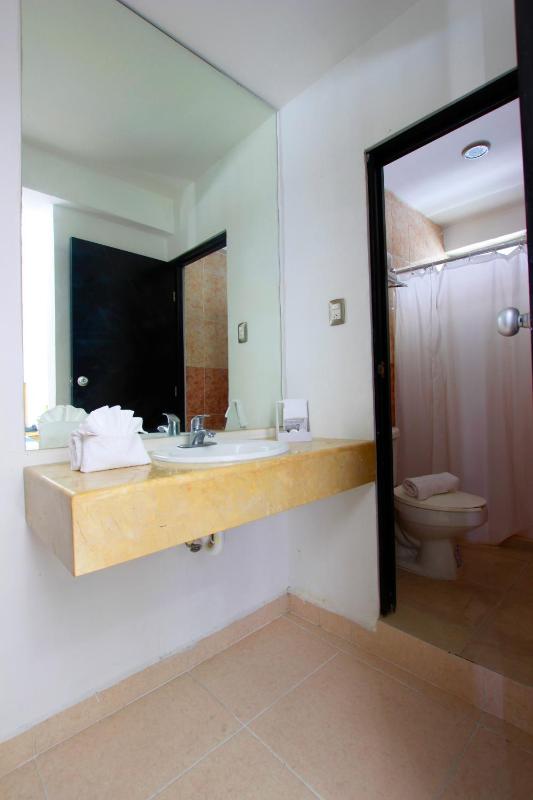 Hotel Embajadores - image 7