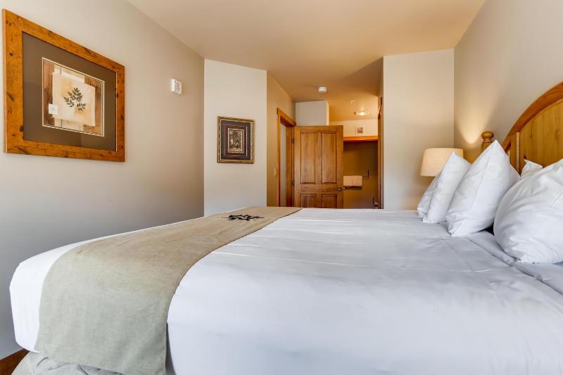 Premier Red Hawk Lodge 2 Br-Walk To Slopes-Kids Ski Free Condo - image 20