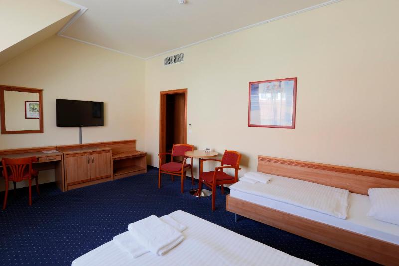 Standard Twin Room image 2
