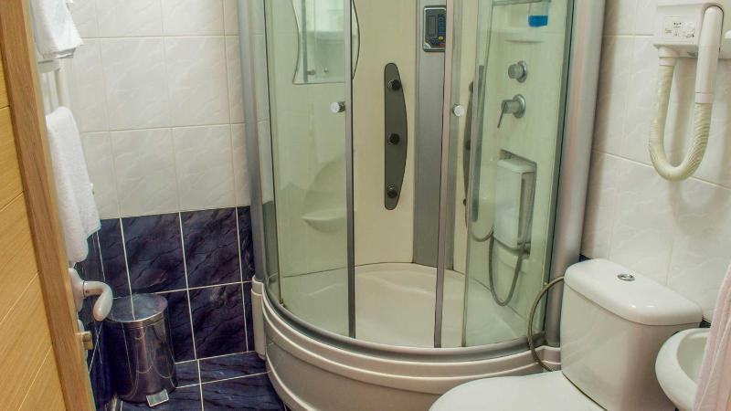 Double or Twin Room image 4