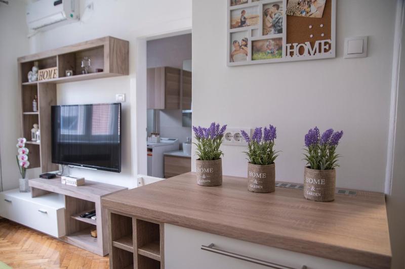 One-Bedroom Apartment image 2