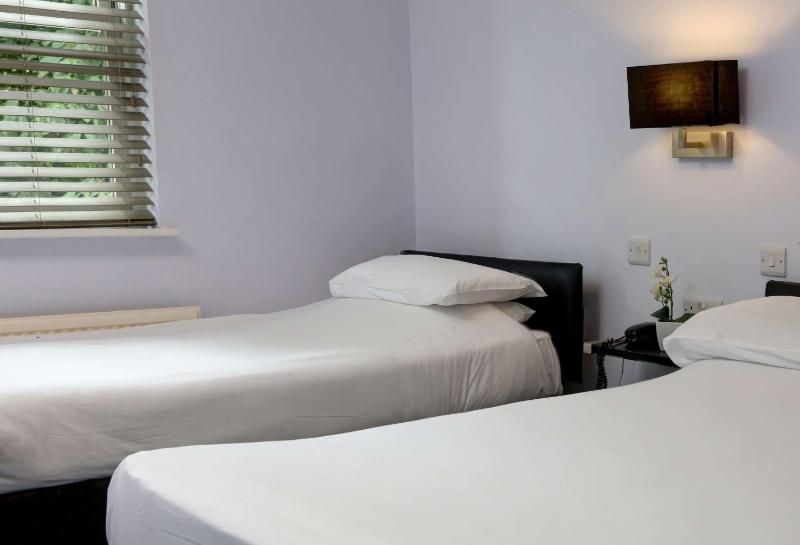 Standard Twin Room image 3