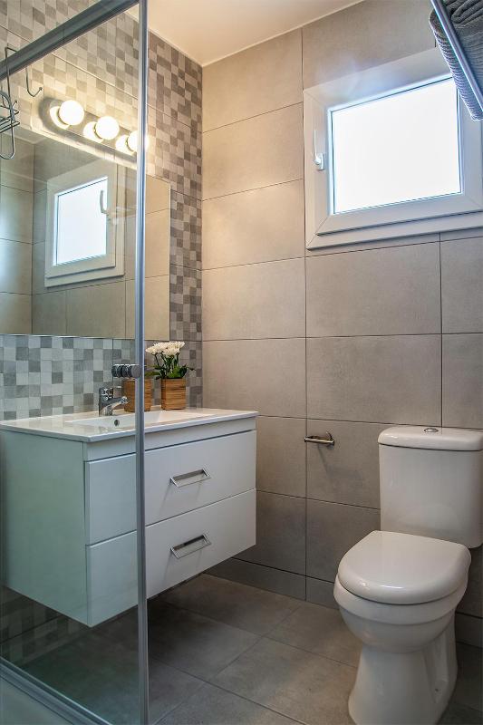 Silver Apartment - Central - image 9