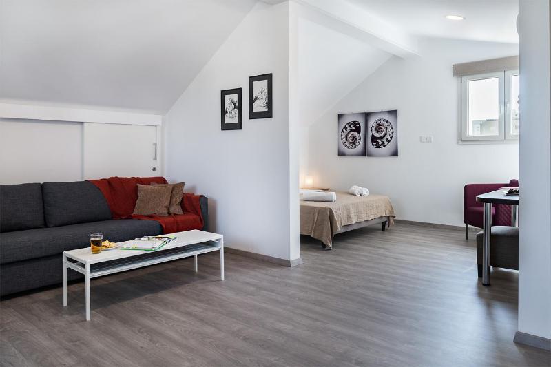 Silver Apartment - Loft - image 3