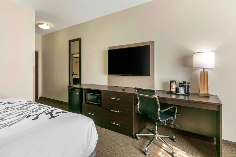 King Suite with Sofa Bed - Non-Smoking image 3