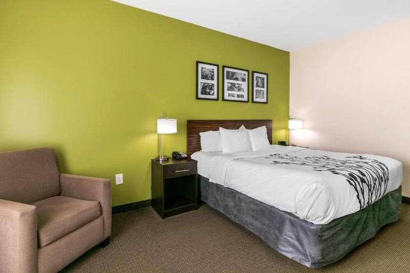 King Suite with Sofa Bed - Non-Smoking image 2