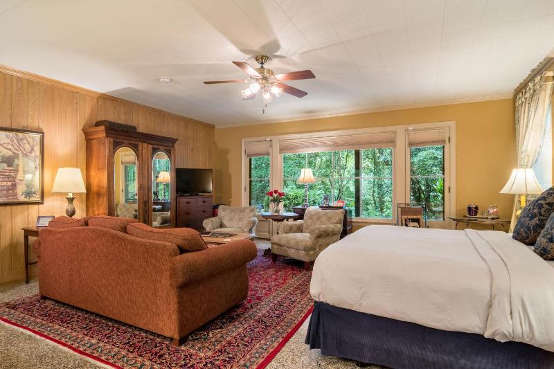 Deluxe King Suite image 3