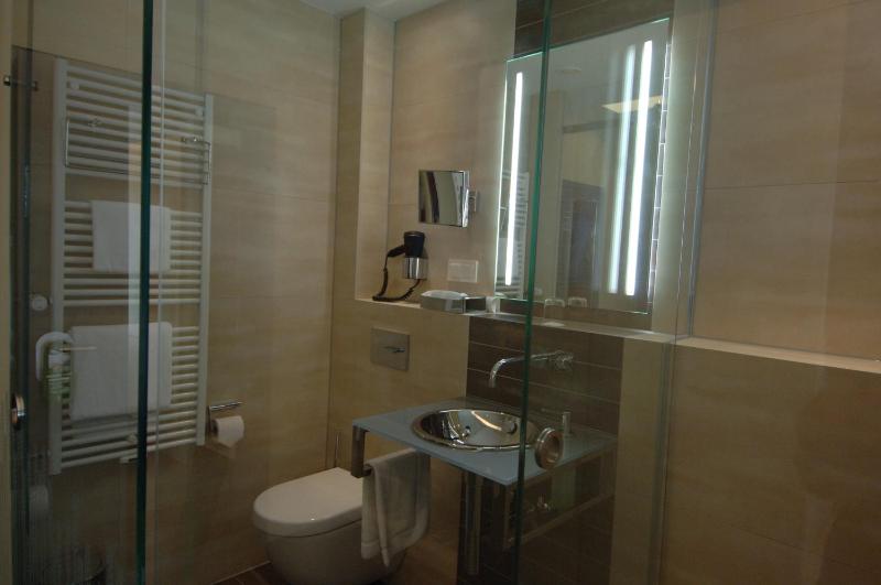 Superior Single Room image 3