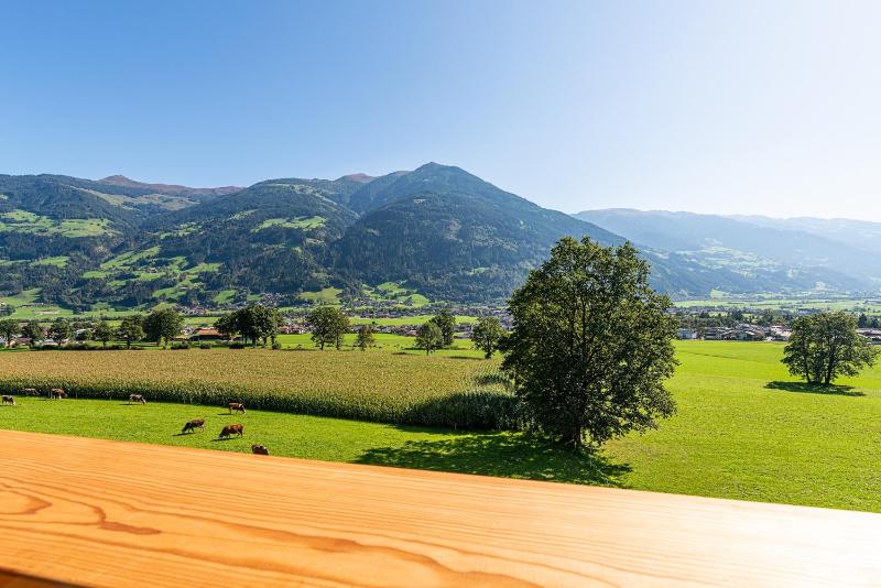 Double Room with Mountain View image 4