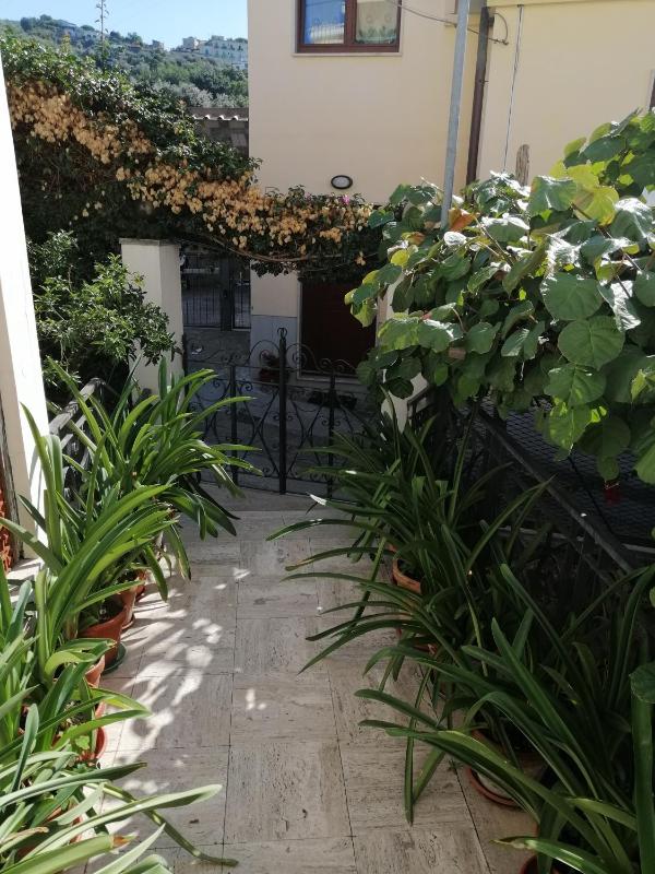 Hotel La Primavera - image 11