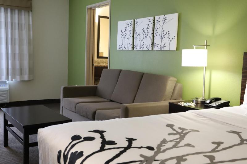 King Room with Sofa Bed - Non-Smoking image 2