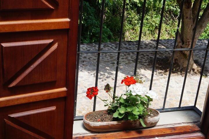 Hotel Casa Victoria - image 13