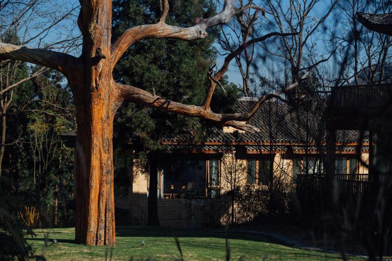 Evergreen Forest Retreat Zhangjiajie Near National Forest Park Avator Park Luxury Nature Escape Free Airport&Train Shuttle Service & Travel itinerary English Speaking Butler - image 40
