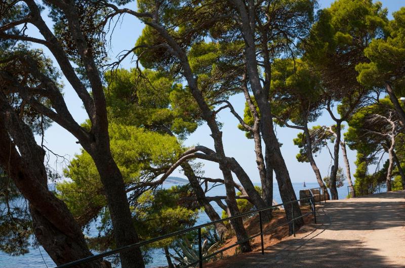 Remisens Hotel Albatros-All inclusive - image 42