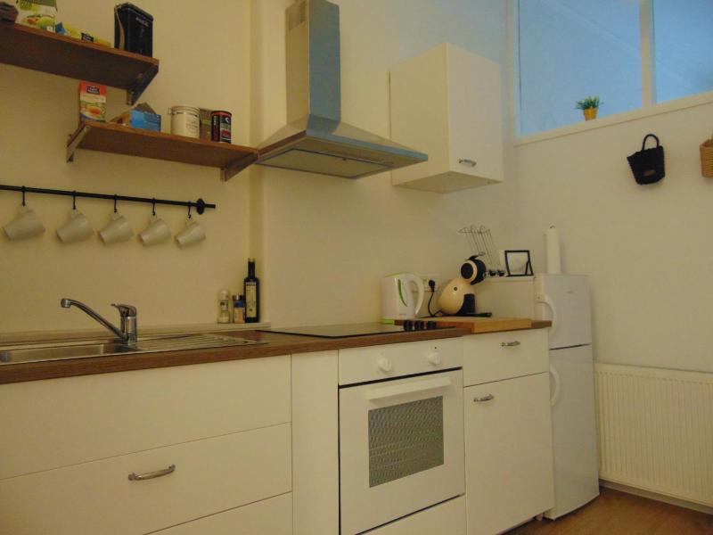 One-Bedroom Apartment image 2