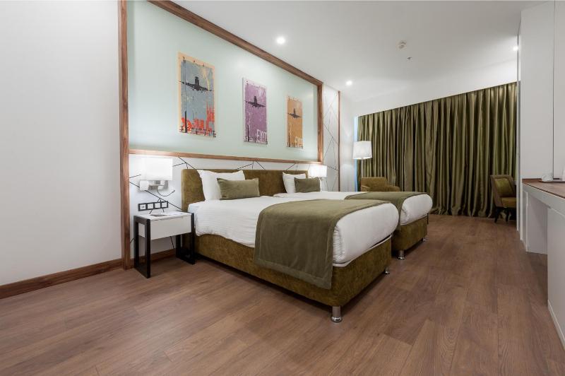 Deluxe Double or Twin Room image 4