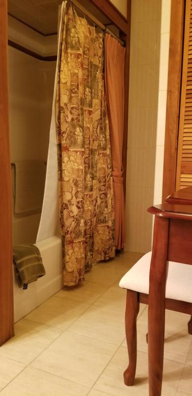 King Suite with Balcony image 4