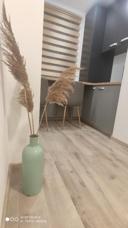 Apartment - Ground Floor image 3