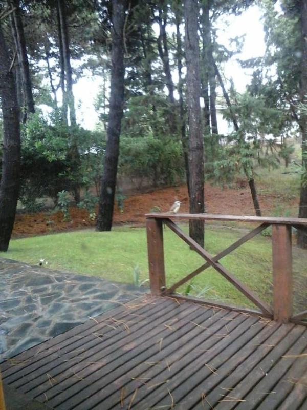 Casa completa en el bosque para 8 personas no aceptamos grupos de jovenes - image 27