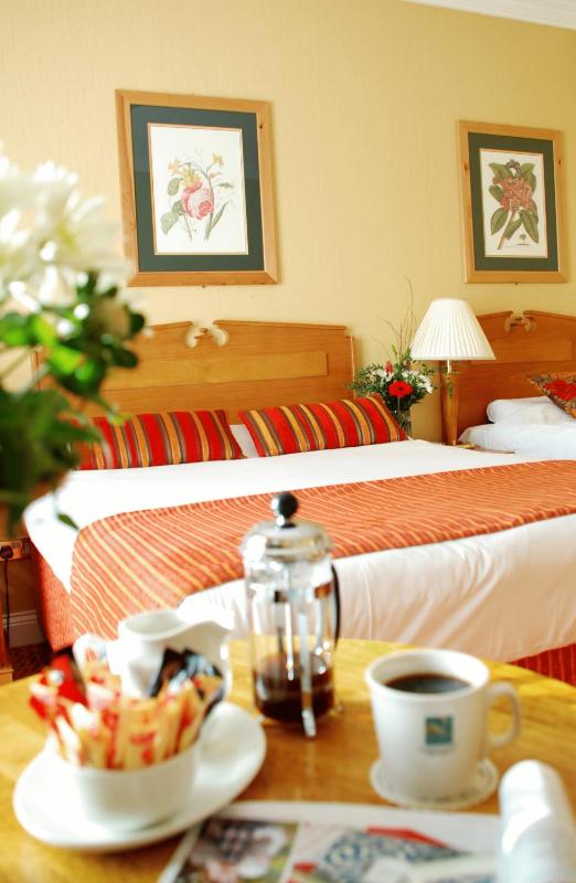 Standard Double or Twin Room image 4