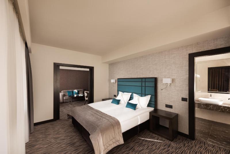 Old Town Hotel - image 16