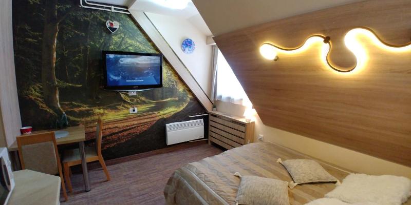 Apartment with Mountain View image 4
