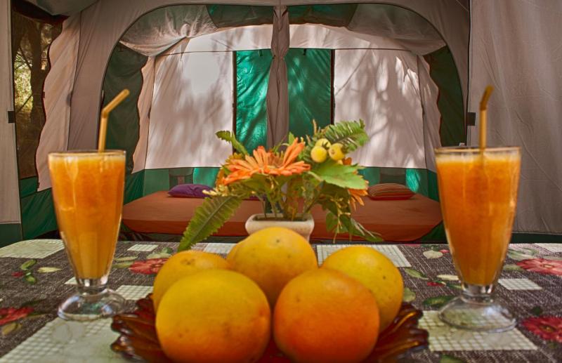 Tent (4 Adults) image 2