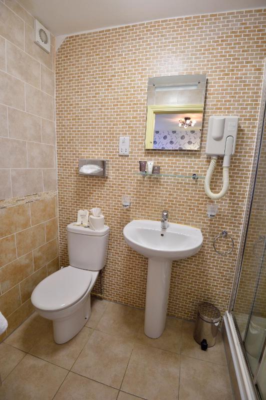 Double Room image 4